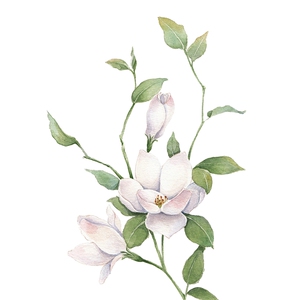 苏绣diy自学套件初学入门零基础刺绣图案小学生学习茉莉花送教程