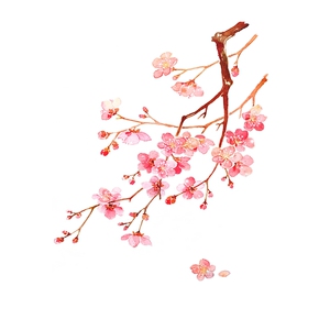 苏绣diy自学套件初学入门新手手工刺绣图案零基础简单梅花送教程