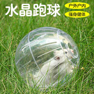 仓鼠水晶跑球跑轮滚轮金丝熊松鼠蜜袋鼯透明外带运动球遛鼠神器