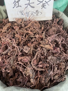 野生正品紫背天葵 红天葵中药材250g特级紫背天葵草红叶 红天葵草
