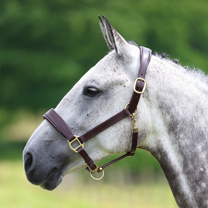 英国shires牛皮马笼头(blenheim)洛奇马具8218095