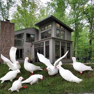 仿真鸽子摆件别墅庭院花园动物和平鸽模型雕塑幼儿园景观草坪装饰