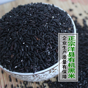洋县黑米陕西汉中特产新米纯正农家自产杂粮血米黑糯米500g装