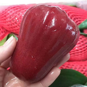 【顺丰冷链】泰国越南进口黑金刚莲雾新鲜5斤海南热带水果甜水分