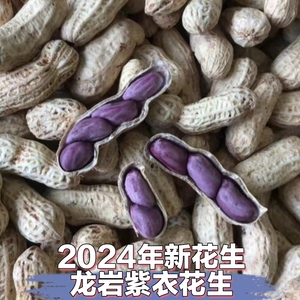 2024新福建龙岩连城农家水煮白晒咸干多粒紫衣花生湿烤香脆五香熟