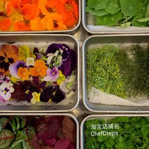 chefsteps 西餐用具 摆盘花草储存盒 调料 配菜 盒 不锈钢