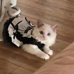 宠物女仆装猫猫狗狗猫咪公主装可爱猫衣服猫咪狗狗公主裙洛丽塔