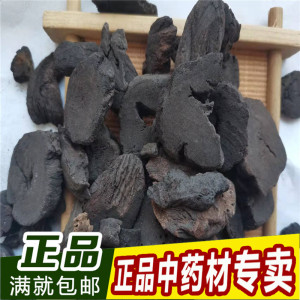 中药材大黄炭500克制炙大黄碳店有茅根炭槐花炭蒲黄炭栀子炭黄芪