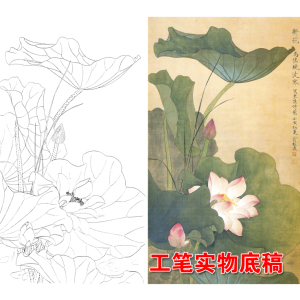 xg21俞致贞高清国画荷花花鸟工笔画白描底稿实物临摹过透稿打印稿