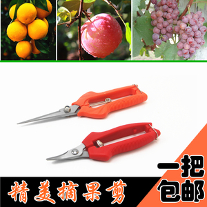 采果剪葡萄柑橘桔子剪刀修枝剪修花摘果剪柿子家用果树蔬果剪工具
