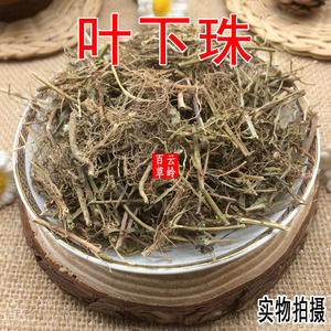 80珈祁堂旗舰店天猫叶下珠中药500克别称珠仔草龙珠草 碧凉草中药材