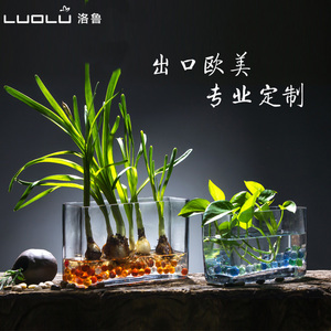 水培植物玻璃瓶长方形桌面绿萝富贵竹花盆水培花卉花瓶鱼缸器皿