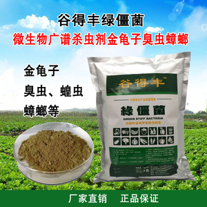 谷得丰绿僵菌 生物杀虫剂  金龟子蝗虫臭虫蟑螂药 可湿性粉剂