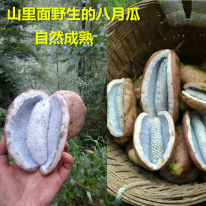 野生 预知子 新鲜干货八月札八月瓜正品八月炸药都中药材养生店90
