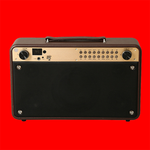 声优q9s 手提户外音响萨克斯二胡广场重低音带话筒电吹管吉他音箱