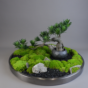 现代中式永生苔藓盆景 酒店餐桌青苔仿真小迎客松造景 售楼处装饰