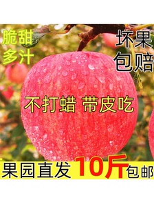 包邮正宗河南省三门峡灵宝寺河山特产苹果带箱10斤产地直销