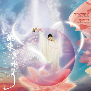敬善媛如来云水月心经大悲咒道德经汽车音乐车载cd佛教歌曲2光碟