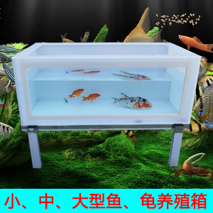 乌龟锦鲤鱼缸客厅中型新玻璃塑料半透明大型鱼缸池家用可定制订做