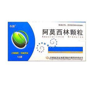 今辰阿莫西林