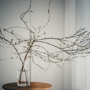 雪柳花瓶水培鲜花玻璃花艺花瓶玻璃透明龙柳鲜枝高款插花长枝干枝