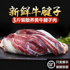 3斤生鲜牛腱子 国产黄牛肉  新鲜牛肉生牛肉 牛腱肉 山东土黄牛