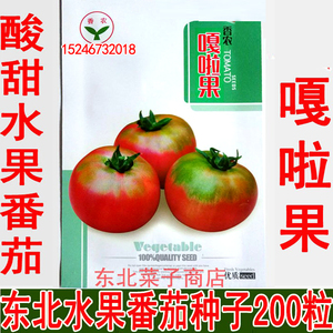 新种子东北草莓柿子种子 原装 酸甜嘎啦果 水果番茄种子200粒