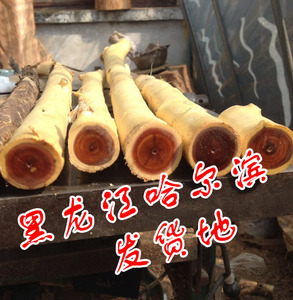 扁担胡子木扁胡子扁枣胡子金刚木扁桃胡子木东北黄花梨手串沉水木