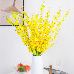 跳舞兰干花真花