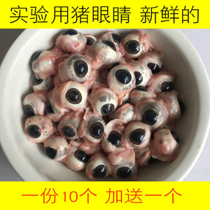 包邮3斤冷冻新鲜猪蛋蛋猪宝猪睾丸烧烤饭店食材生猪蛋猪宝7人付款45