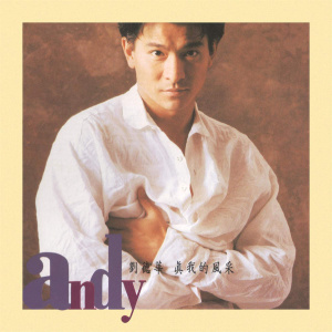 刘德华真我的风采