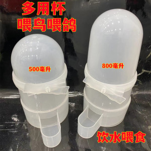 鸽子饮水器信鸽用品用具自动下料器防撒溅芦丁鸡鹦鹉鸟多用喂食器