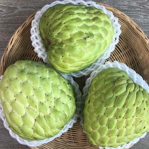 杨乃波520淘宝顺丰包邮4斤约3~5个广东释迦果特大果番荔枝新鲜水果