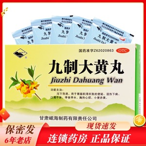 岷州九制大黄丸6g*10袋/盒便秘湿热下痢口渴不休上火 rk