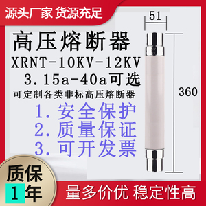 XRNT10-12KV5A10A20A40A高压熔断器保险管SFLAJ-12KV箱变保险管丝