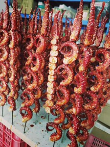 【鱿鱼须仿真模型】鱿鱼须仿真模型品牌,价格 - 阿里巴巴