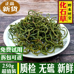 正品肾精茶长白山肾精草野生化石草石韦茶250g克散装包邮东北特产
