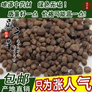 急性子 中药材 凤仙花子 指甲花 籽 指甲花 中草药 500克包邮