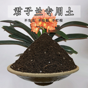 君子兰适用土5斤装 夜香兰适用营养土疏松透气弱酸性绿植土通用