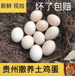 贵州黔南农家户外散养土鸡蛋月子鸡蛋笨鸡蛋柴鸡蛋30枚新鲜包邮