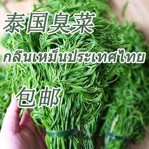 泰国吃播臭菜 泰国蔬菜现摘新鲜云南250g包邮