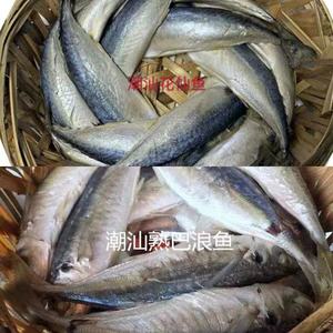 潮汕鱼饭  巴浪鱼和花仙鱼各一斤  共两斤装  1000g包邮