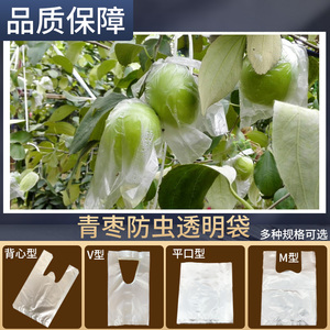 厂家直供青枣套袋大青枣袋百香果套袋防虫专用水果保护透明薄膜袋