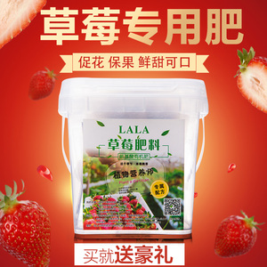 盆栽草莓专用肥料营养液营养土氨基酸多元素有机肥草莓肥料复合肥