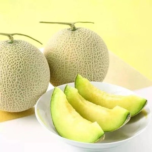 瓜大爷蜜瓜2个装可口蜜爆甜软糯新鲜当季水果玫珑瓜顺丰包邮