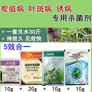 炭疽病锈病专用药大棚蔬菜四季豆角锈病黄瓜叶斑病西瓜杀菌剂农药