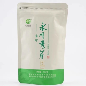 茶叶永川秀芽云岭特川100g袋装新茶官方直售特级正品高山绿茶