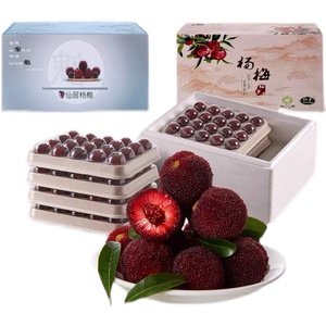 东魁杨梅新鲜现摘贡品级大杨梅正宗仙居鲜果当季孕妇水果礼盒整箱