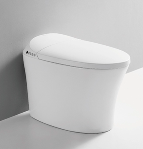 箭牌智能马桶全自动冲水一体式妇洗烘干除臭无水箱坐便器ag801h