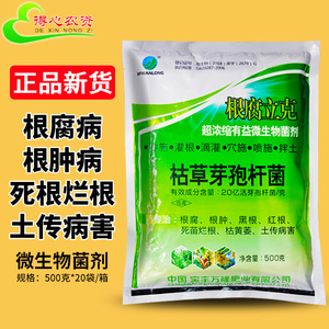 根腐立克枯草芽孢杆菌微生物菌剂菌肥根腐病立枯病青枯病专用药